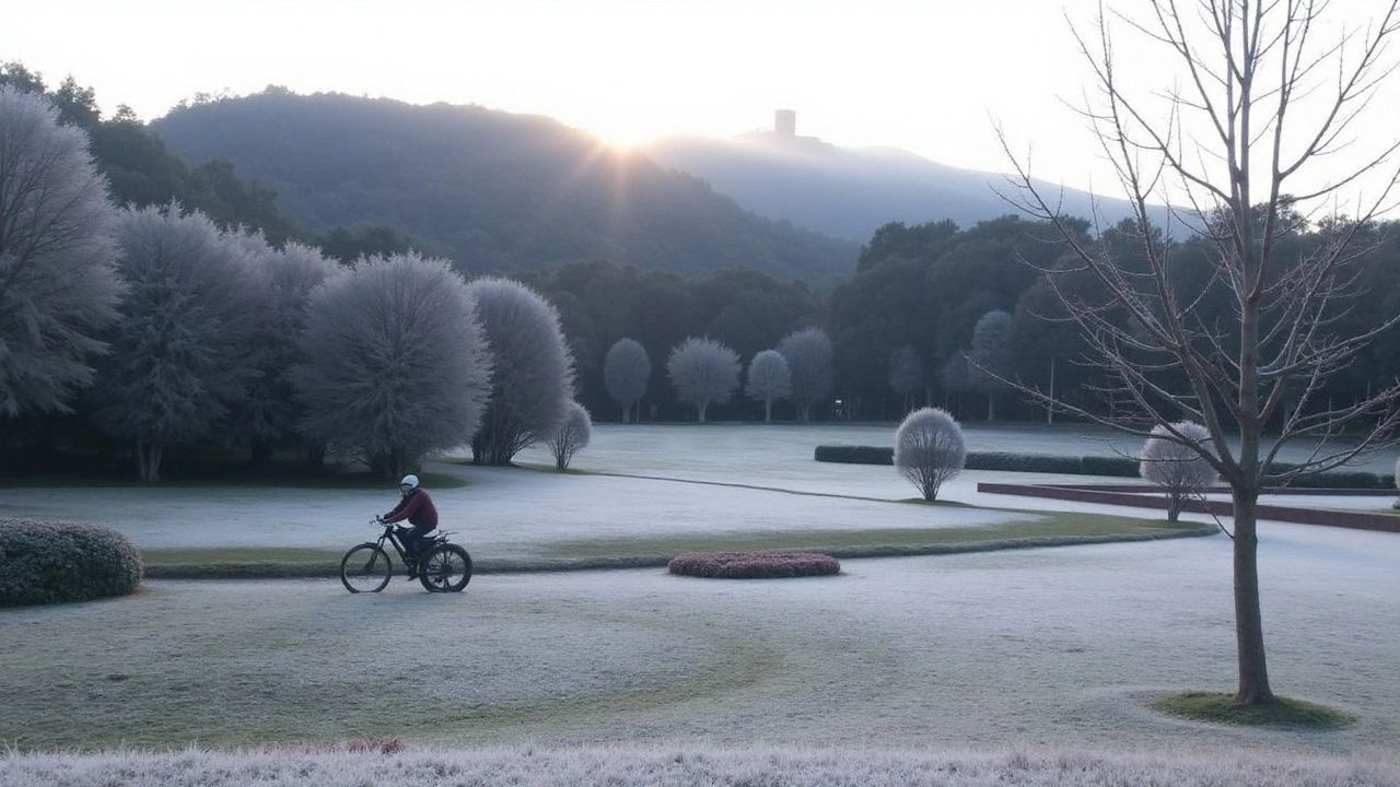 Frio Recorde Ataca Paraná: Temperaturas Negativas em 15 Municípios e Geada em Curitiba