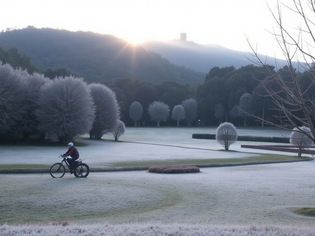 Frio Recorde Ataca Paraná: Temperaturas Negativas em 15 Municípios e Geada em Curitiba